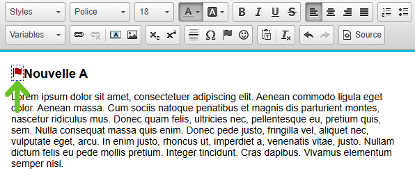 Visuel du drapeau dans le texte