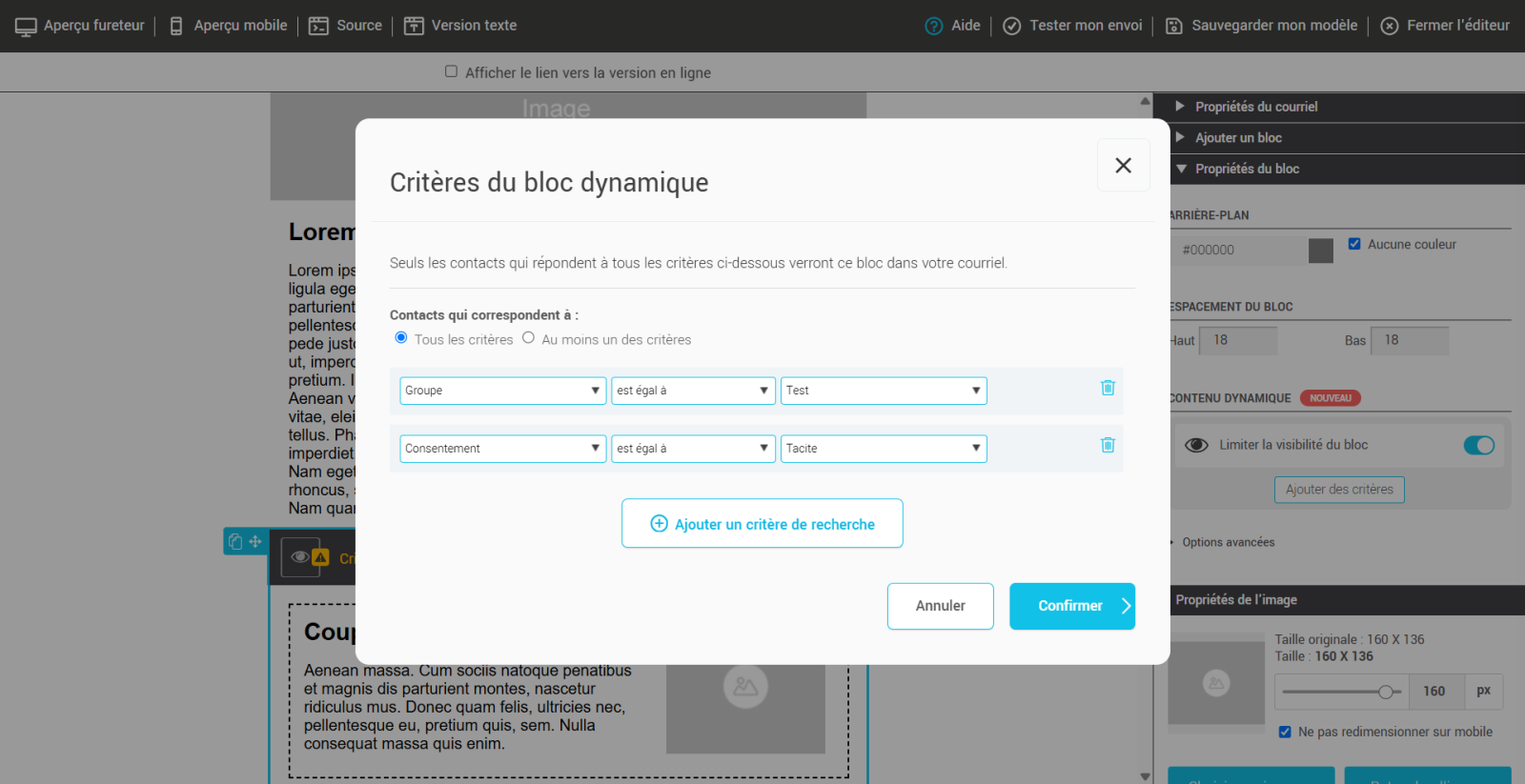 Critères du bloc dynamique